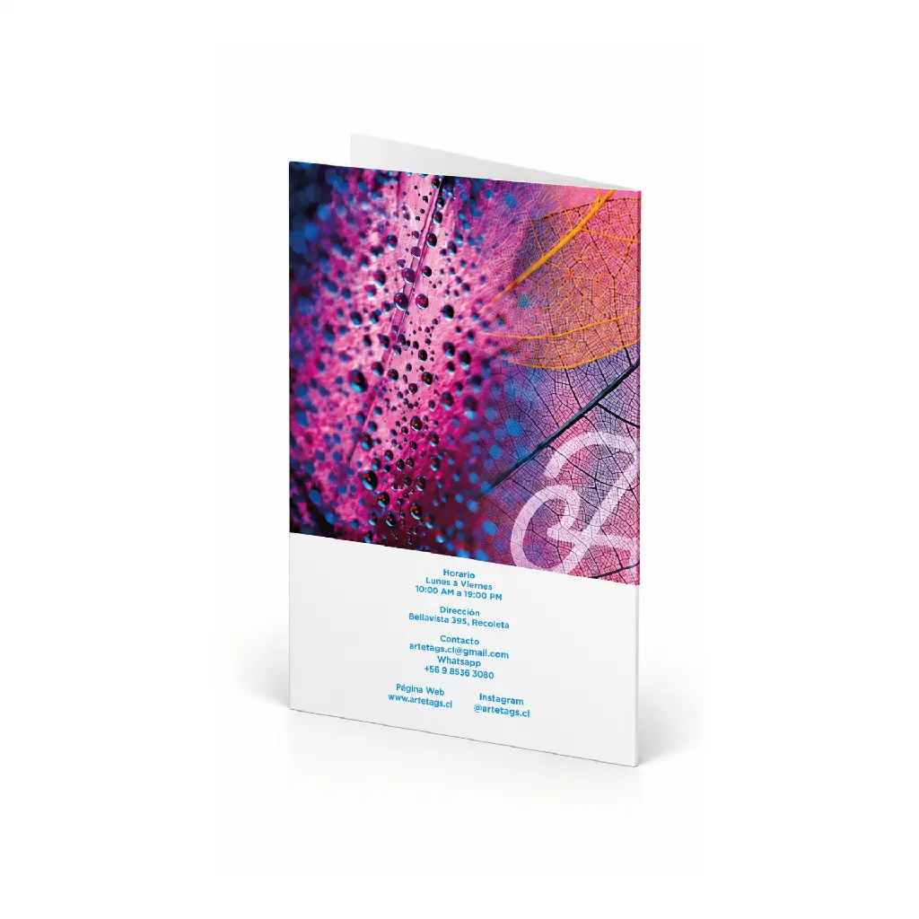 Carpeta Trasera 1.webp
