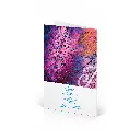 Carpeta Trasera 1.webp